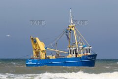 trawler - beam trawling and twinrigging - Alida Jolanda - ID:124578